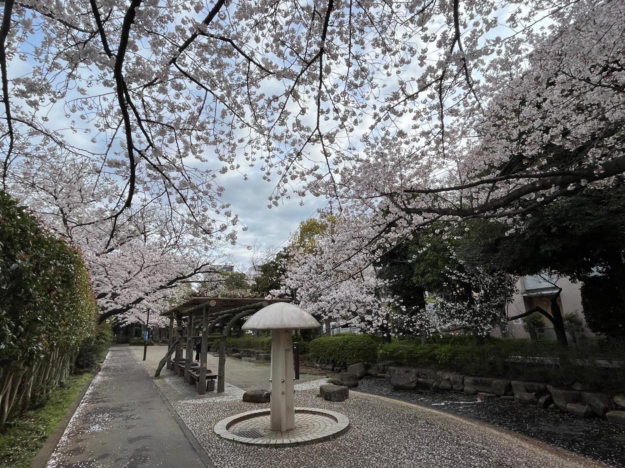 Apartmán 松島雅居 Prefektura Tokio Exteriér fotografie